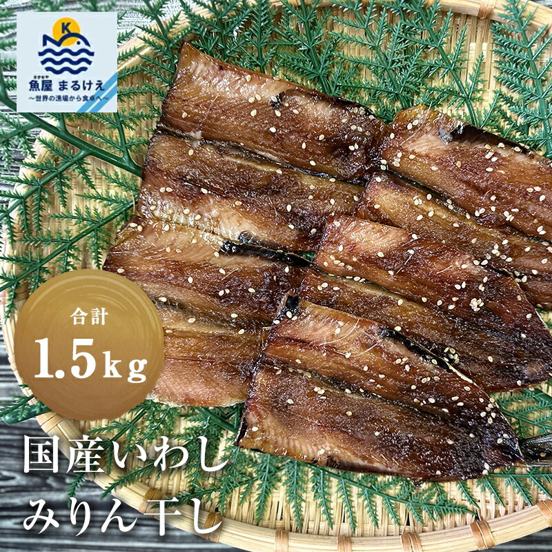 いわしみりん みりん干し 1.5kg 干物 イワシ 鰯 みりん