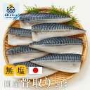 【サイズ不揃い訳あり】 国産 サバ さば 鯖 骨取りサバ 骨取りさば 無塩 無添加 鯖半身フィーレ 11枚 約1kg 良品 骨なし 個別冷凍 バラ凍結 骨取り鯖 フィレ 冷凍食品 魚 惣菜 弁当 まとめ買い お徳用 食品 簡単調理 グルメ 業務用 離乳食