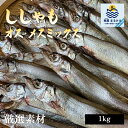 訳ありししゃも 1kg 大容量 オス メス
