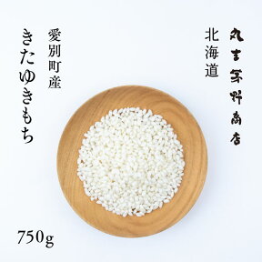 北海道産 きたゆきもち 750g 5合 令和5年産 送料無料