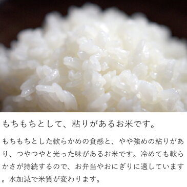 【北海道から直送】北海道ゆめぴりか もせうし産 10kg(5kg×2袋) ＜白米＞ 29年産 【送料無料】※沖縄・離島を除く