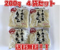 うどん 北海道小麦 100% 200g×4袋セット 無塩 食塩無添加 送料無料 メール便 食塩不使用 無塩 減塩食品 無塩食品 減塩中の方 塩分カット うどん 生麺 健康 おすすめ ギフト贈答 無塩麺 お歳暮 お歳暮ギフト お歳暮プレゼント