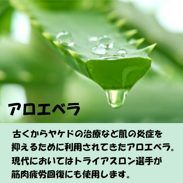 菊星 モイサージュ モイストUVジェル 40g SPF22 PA+++