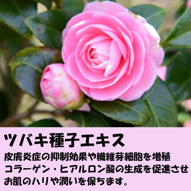 菊星 モイサージュ モイストUVジェル 40g SPF22 PA+++