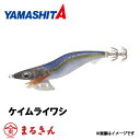 ヤマシタ エギ王 K ケイムラ 3.5号 スーパーシャロー ケイムライワシ エギング(4)