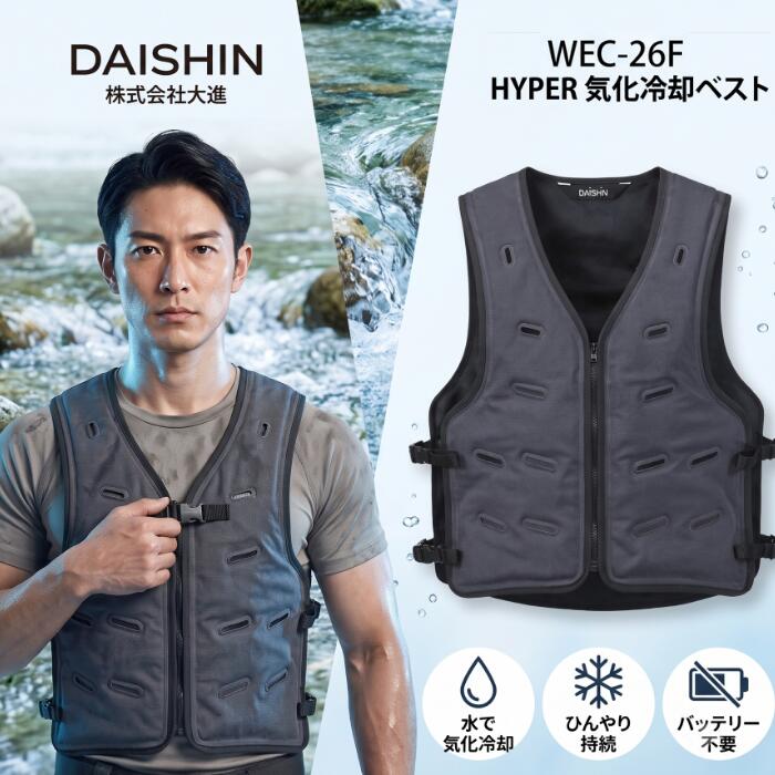 楽天市場】daishin ベストの通販