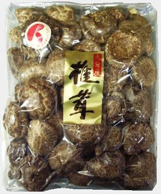 大分産　天白どんこ大粒　500g