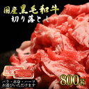 \選べる肉質/黒毛和牛切り落とし うす切 800g 小分け メガ盛り 卒業 入学祝い 大容量 ウデ 赤身 切り落とし 牛肉 新鮮 肉屋 便利 ストック 家庭料理...