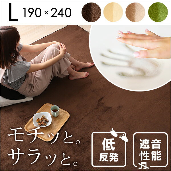 高密度マイクロファイバー・低反発ラグマットLサイズ（190×240cm）オールシーズン対応｜リウル