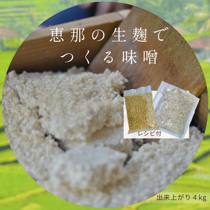 【送料無料 常温便】味噌作りキット 米麦みそ 手作り味噌 4kg 生麹 国産大豆 岐阜県産コシヒカリ 無添..