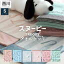 【本日⇒ポイント3倍】＼大人から子供まで人気／ 西川 タオルケット シングル スヌーピー SNOOPY コットンケット西川リビング ピーナッツ スヌーピー タオル ケット シングルサイズ かわいい キャラクター コットン タオル 綿100%パイル おしゃれ