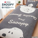 【エントリーでP5倍】西川 スヌーピー 掛け布団カバー シングル 掛けカバー西川リビング snoopy かけカバー シングル 単品 シワがつきにくい ふとんカバー コットン キャラクター 総柄 シンプル デザイナーズ オールシーズン おしゃれ(3)