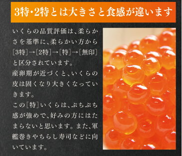 いくら造り40有余年 マルコシ謹製 岩手県産「プチプチのいくら」 いくら醤油漬け 500g 【いくら醤油漬け】