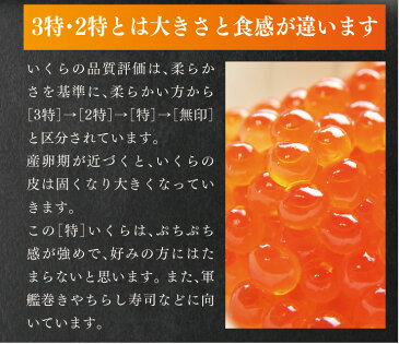 三陸 いくら醤油漬け160g 【ちょっぴり訳あり】お得なイクラ