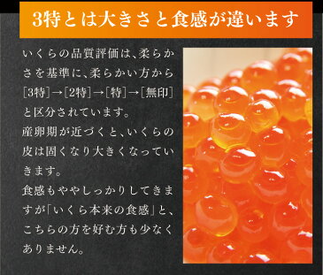 いくら造り40有余年 マルコシ謹製 岩手県産 いくら醤油漬け 500g 2特【いくら醤油漬け】【冷凍便】イクラ丼、手巻き寿司、大粒いくら【母の日】【父の日】【お中元】【ギフト】【お歳暮】