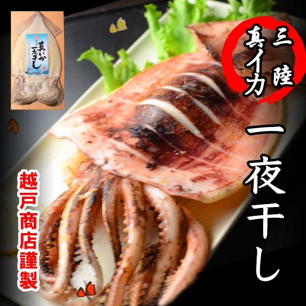 【3パックセット】三陸産　真イカの一夜干し　食べごたえあります「大」サイズ　【同梱商品】【イカ】【するめいか】【スルメイカ】BBQ、バーベキュー、キャンプ