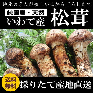 【予約販売】岩手県産 松茸 つぼみ約200g 国産 まつたけ マツタケ 送料無料 同梱不可