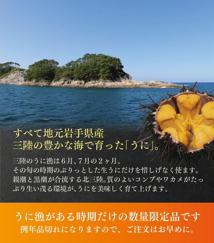 【浜の定番！昔ながらの甘塩うに60g　昔ながら塩とウニのみで味付け【うに】【ウニ】【瓶詰め】【ムラサキウニ】生うにと食塩のみで味付け【粒ウニ】　無添加【1217RFD】