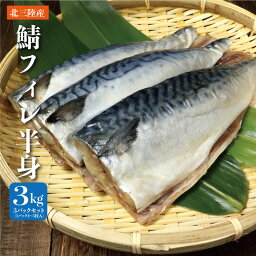 【岩手県北三陸産】鯖フィレ半身 3kg 3パックセット（1パック4〜5枚入り） 【鯖/さば】【サバ】【冷凍配送】