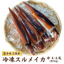送料無料 鮮度超抜群!冷凍スルメイカ中4〜6尾 約1kg前後 鮮度そのまま急速冷凍 いか スルメイカ