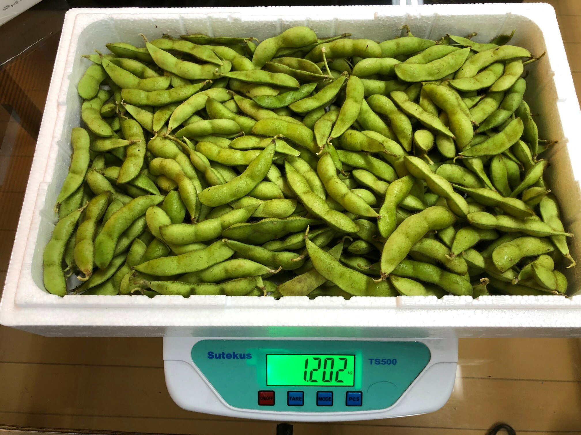 【選別品】 毛豆 1,200g バラ詰め 青森県産 産地直送 枝豆 おつまみ ケマメ 人気 売れ筋 けまめ ケマメ 送料無料