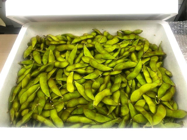 毛豆 約3kg 青森県産 産地直送 枝豆 豆 おつまみ 人気 ケマメ バラ詰め 売れ筋 送料無料