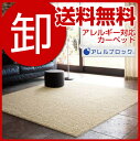 高級モダンクロスシャギーラグ(ハイグレード&プレミアム) 約 200×200 cm 都内外資系企業にも採用!床暖房・ホットカーペットカバー 対応【メーカー直送品】楽天ランキング常連!【期間限定】smsms