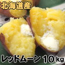 送料無料 越冬じゃがいも レッドムーン 10kg 北海道産 ジャガイモ 産地直送