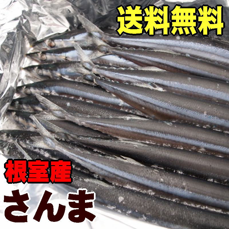 送料無料！訳ありじゃない北海道根室産冷凍サンマ【約2kg 15〜17尾 1尾125g前後】獲れたてを急速冷凍したサンマです！