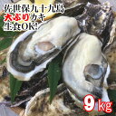 送料無料！佐世保九十九島大ぶりかき9kg UV滅菌処理済み！　安心　安全 その1