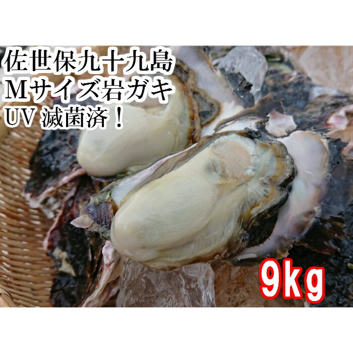 送料無料　Mサイズ 産地直送　佐世保九十九島 岩がき9kg（38個前後）UV滅菌処理済み 殻付き　岩牡蠣　岩ガキ　生食用　新鮮　200g〜300g