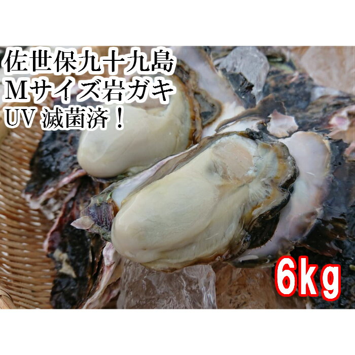 　Mサイズ 産地直送　佐世保九十九島 岩がき6kg（24個前後）UV滅菌処理済み 殻付き　岩牡蠣　岩ガキ　生食用　150〜250g