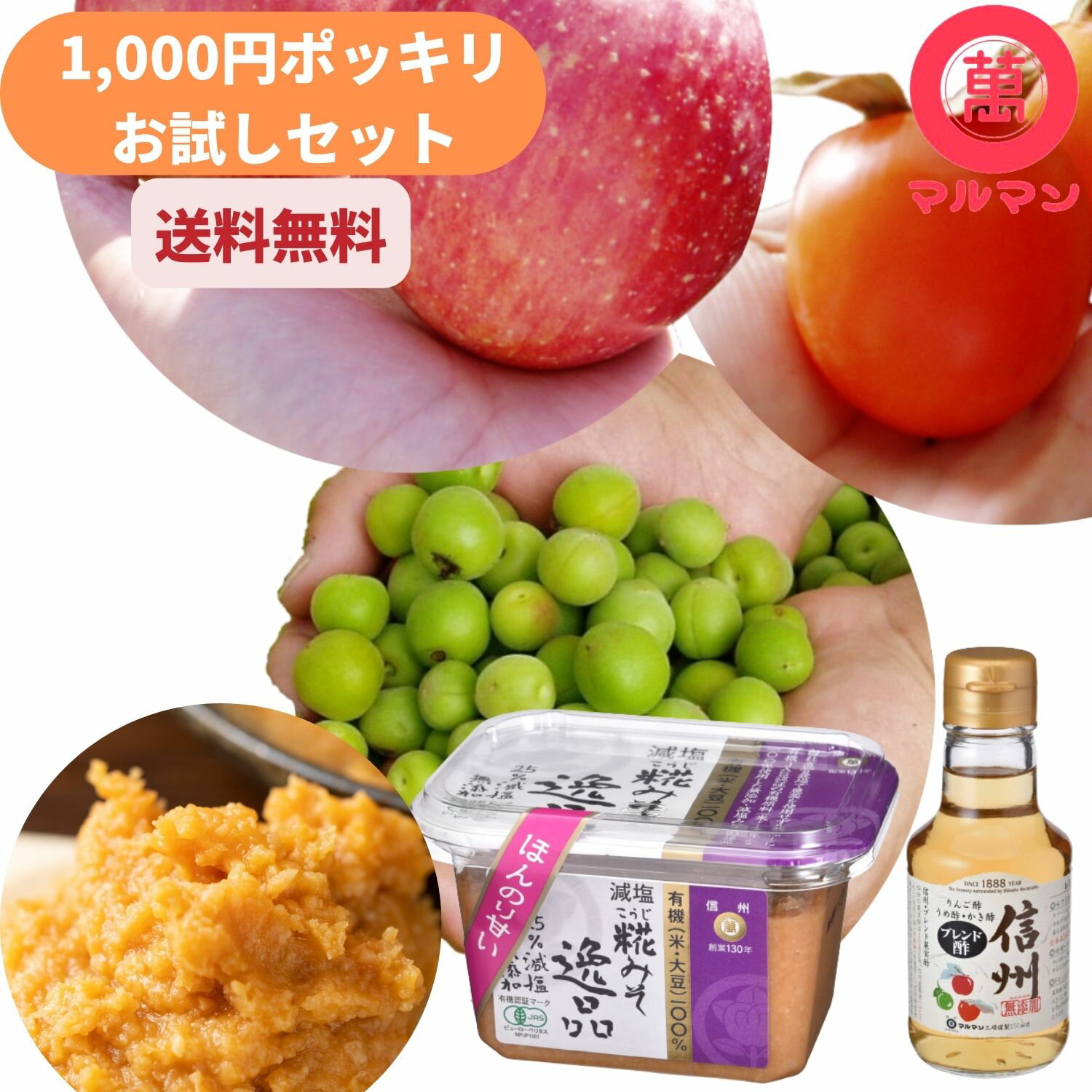 1000円ポッキリ 送料無料 グルメ ブレンド酢 ミニボトル 150ml 白味噌 無添加 オーガニック 300g 老舗 マルマン リンゴ酢 ダイエット 飲むお酢 水 炭酸 野菜ジュース 調味料 料理 レシピ ヨーグルト 朝 美容 クエン酸 ドリンク 腸活 血圧 内臓脂肪 グルテンフリー 食品 朝 夜