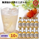 送料無料 梅酢 無添加 ミニボトル 柿酢 ダイエット マルマン 150ml×10本 飲むお酢 水 炭酸 野菜ジュース 調味料 料理 レシピ ヨーグルト グルメ 野菜 美容 クエン酸 疲労回復 ドリンク ピクルス 腸活 血圧 内臓脂肪