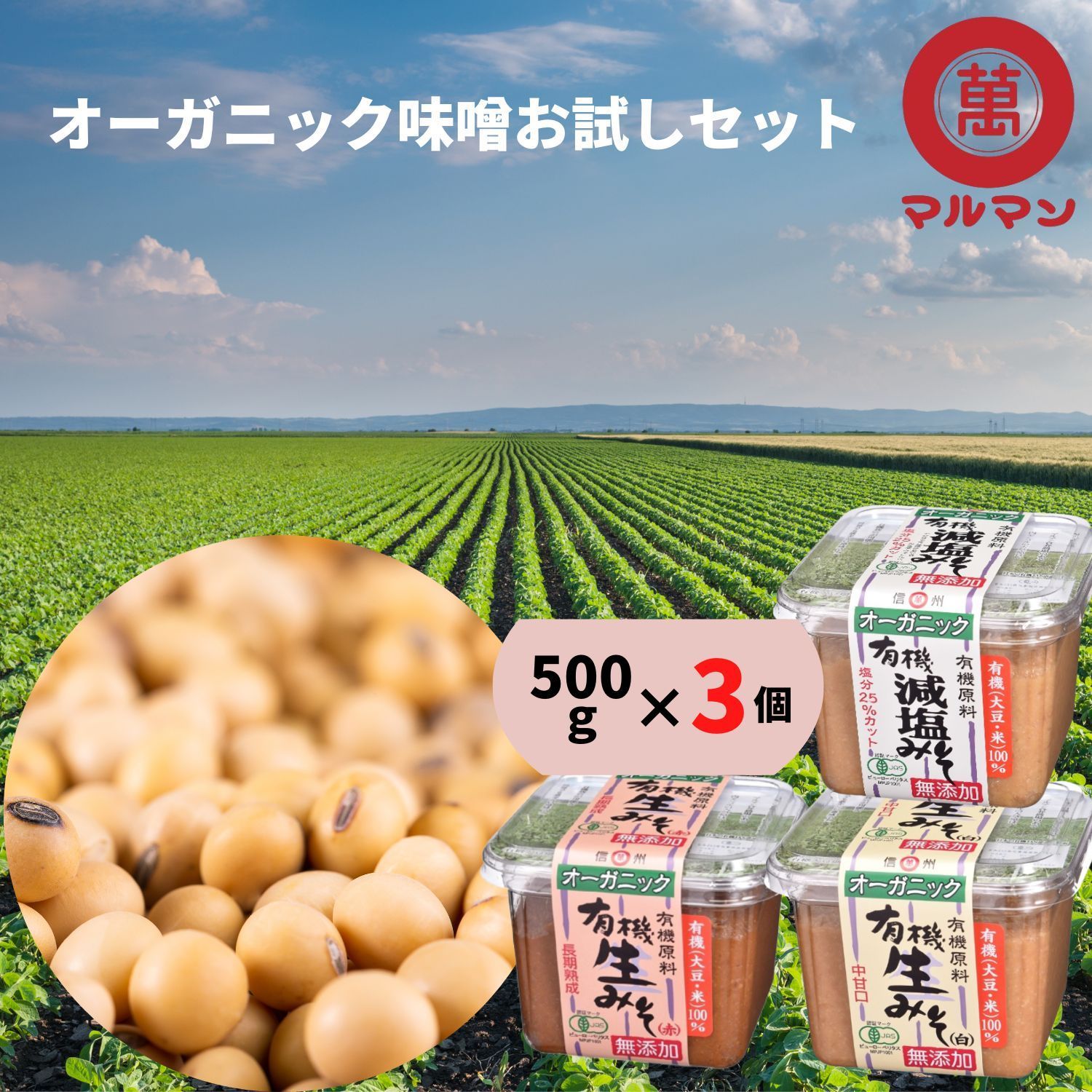 【お試し3個セット】 1000円ポッキリ