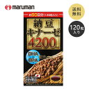 N納豆キナーゼ4200FU 120粒