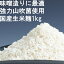 【大量注文大歓迎！味噌造りに最適の生米糀】味噌作り用米麹 生米麹 生麹 生こうじ 1kg 米こうじ 甘酒 国産米 無添加　味噌造り たくあん漬け 沢庵漬け 無添加 無塩