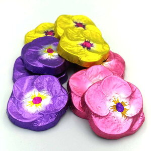 すみれチョコレート 業務用500g