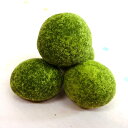 抹茶みるく豆 業務用1kg（500g*2袋）