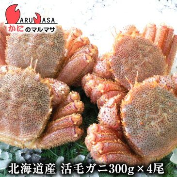 北海道産 活毛がに(300g×4尾)セット 楽天ランキング入賞毛カニ部門ランクイン!!あす楽 毛蟹 毛ガニ カニ通販 道産品 敬老の日 ギフト
