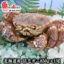 活毛がに(850g×1尾)セット あす楽対応北海道 毛蟹 毛ガニ カニ通販 道産品 母の日 ギフト 北海道産