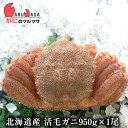 т(950g~1)Zbg y ъI уKj Jjʔ Yi  Mtg kCY 