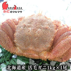 活毛がに(1kg×1尾)セット あす楽 毛蟹 毛ガニ カニ通販 道産品 母の日 ギフト 北海道産