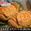 活毛がに 翌日便(北海道産 冷蔵 毛がに 1.5kg詰め 2尾セット 毛蟹 翌日便対応北海道 堅蟹 カニ通販 海産物 お取り寄せ通販 道産品 厳選素材 お土産 ...