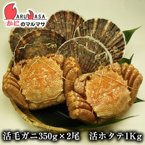 活毛がに 350g×2尾 活ほたて貝1kgセット(海鮮セットG)あす楽 帆立貝 毛蟹 毛ガニ カニ通販 道産品 母の日 ギフト 北海道産