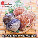 【ポイント5倍】ホッキ貝(500g前後)とホタテ貝(500g前後)の詰合せ 海産物 北海道産 国産 殻付き 生 刺身 ほたて ホタテ 帆立 北寄貝 姥貝 お取り...