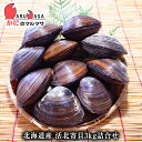 【ポイント5倍】活ホッキ貝 3kg詰め(9〜12個入)翌日便 海産物 北海道産 お取り寄せ通販 道産品 厳選素材 お土産 プレゼント 贈り物 母の日 ギフト