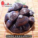 【ポイント5倍】活ホッキ貝 4kg詰め(12〜16個入)翌日便 北海道産 北寄貝 ほっき貝 活貝 海産物 お取り寄せ通販 道産品 厳選素材 お土産 プレゼント ...
