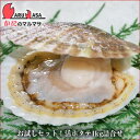 お試しセット 北海道産 活ホタテ貝1kg詰め合わせ お一人様一回限り 翌日便 海産物 お取り寄せ通販 道産品 厳選素材 お土産 贈り物 残暑見舞い