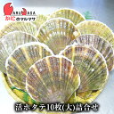 活ホタテ貝(大)10枚詰め合わせ 海産物 北海道産 国産 お取り寄せ通販 道産品 厳選素材 お土産 プレゼント 贈り物 母の日 ギフト